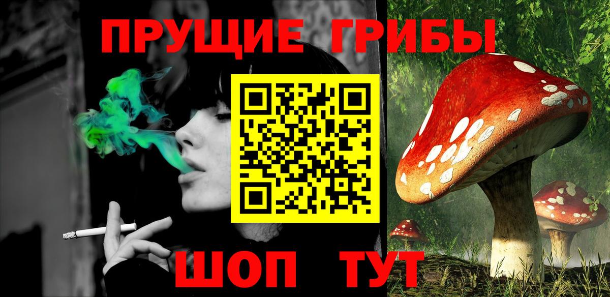 Можга  Псилоцибиновые грибы Psilocybine cubensis  магазин продажи наркотиков  Вход с VPN 