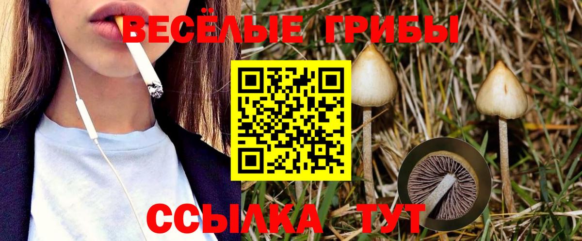 Псилоцибиновые грибы Magic Shrooms Можга